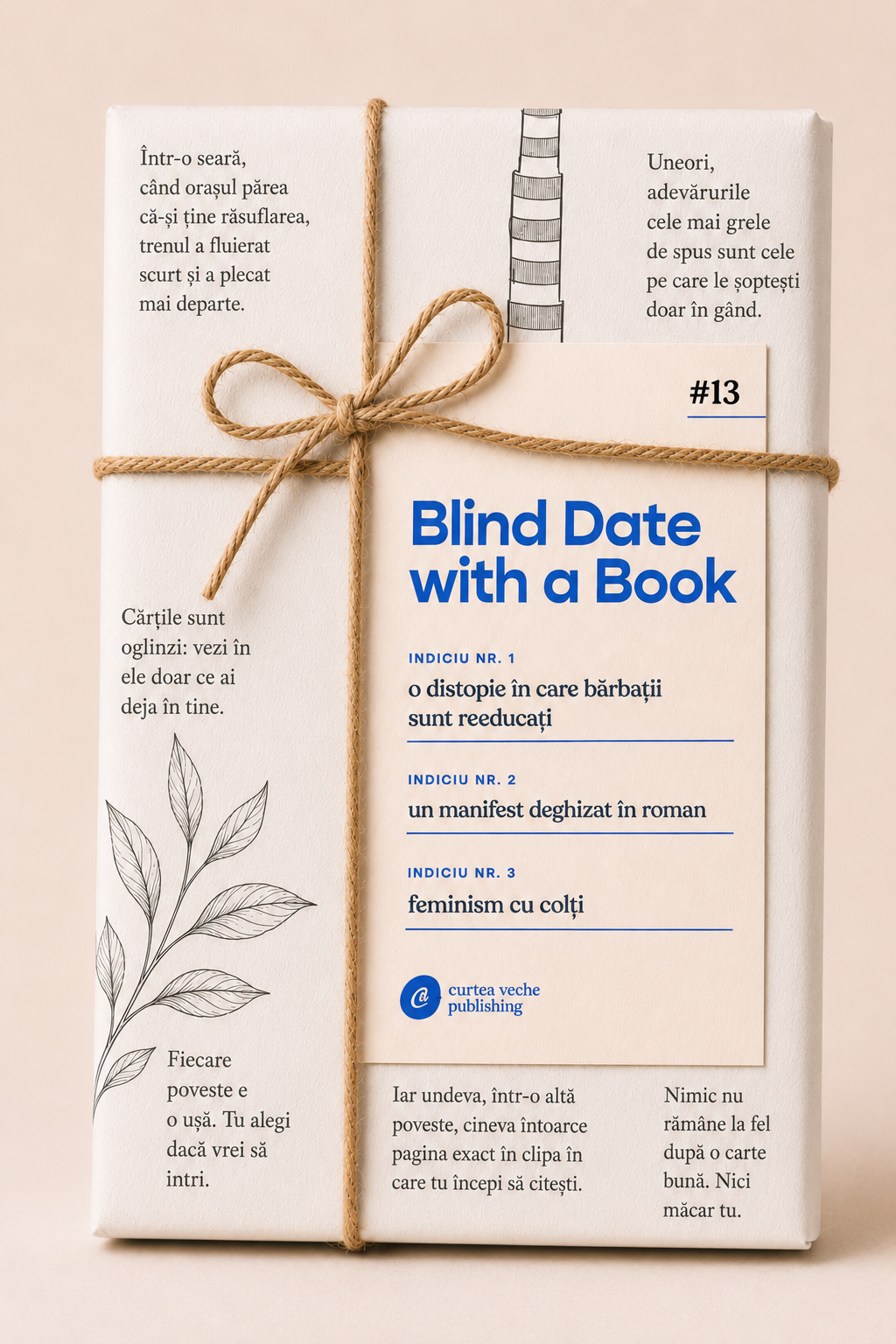 Blind Date with a Book #13